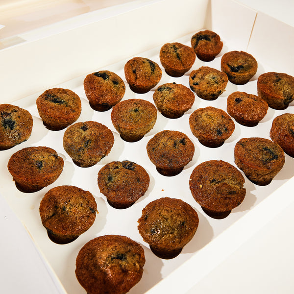 24x Blueberry Banana Bites Tray